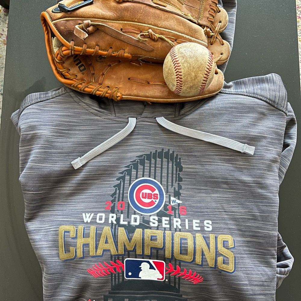 Gray Chicago Cubs 2016 World Series Champions Hoodie